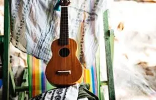 A picture of a ukulele.
