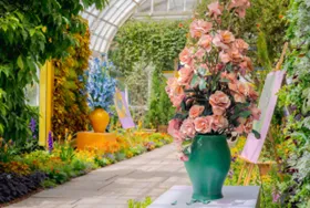 picture of flowers